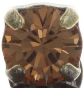 image pour Clou d'oreille Orchid Hybrid Orange  