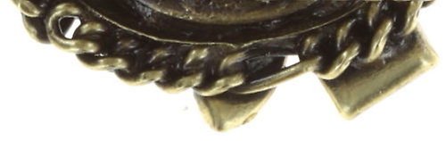 image for Ring Bug Me Now Black / Brown  