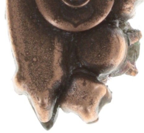 image pour Clou d'oreille La Maitresse Marron / Vert  