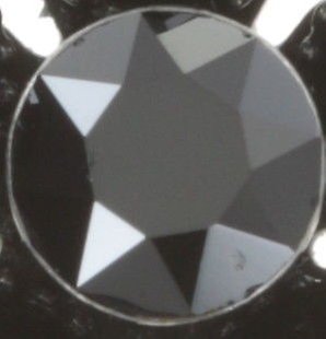 image for Earring Eurowire Lost Garden Black  