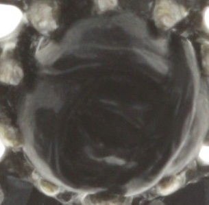 image for Earring Eurowire Victoria Black  