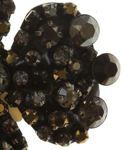 image for Brooch Tropical Black / Brown  