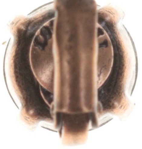 image pour Boucles d'oreilles Eurowire Black Jack Bleu indian sapphire SS 39