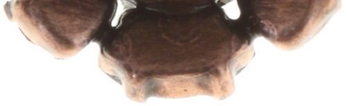 image for Ring Fiancee peach  