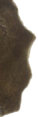 Bild für Ohrringe baumelnd Samurai Bloom Pink / Rot  no. 4