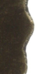 image pour Boucles d'oreilles Eurowire Samurai Bloom Bleu / Vert  no. 4