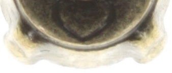 Bild für Ohrstecker Black Jack Orange tangerine SS 29