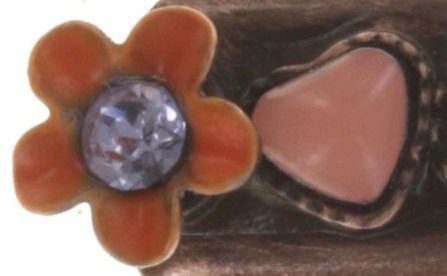 image pour Barrette Arsenic in Old Lace Orange / Lila  