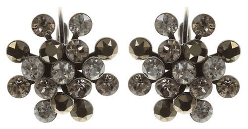 image pour Boucles d'oreilles Eurowire Magic Fireball Gris  Classic Size (21mm Ø)