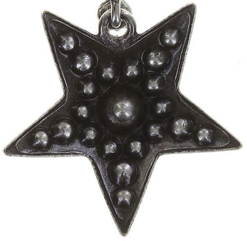 image pour Clou d'oreille pendant Dancing Star Gris  