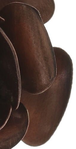 image pour Boucles d'oreilles Eurowire Indian Roses Rose  extra large