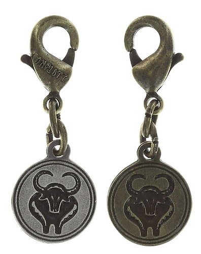 Bild für Charm Zodiac Messing / Silber  