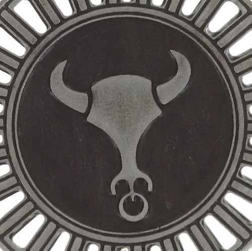 image for Charm Zodiac Brass / Silver  size S