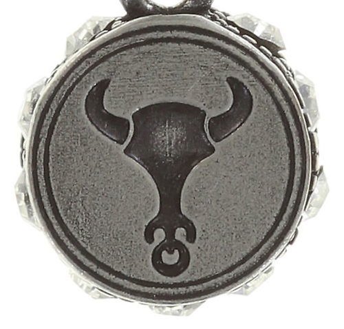 image for Charm Zodiac Brass / Silver  size XS