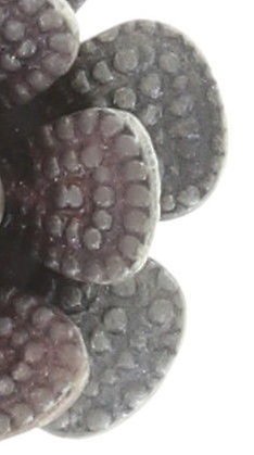 image for Earring Stud Mille Fleurs White  