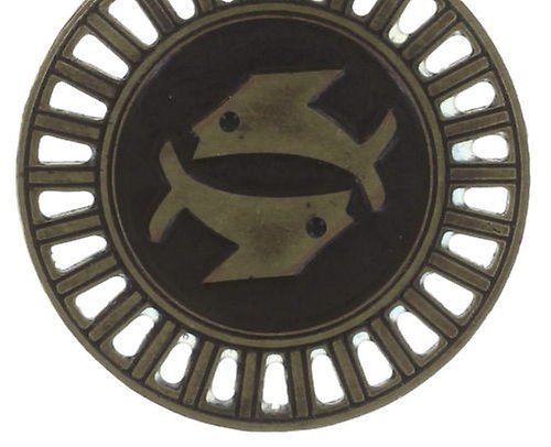 image for Charm Zodiac Brass / Silver  size S