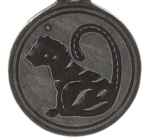 image for Charm Zodiac Brass / Silver  