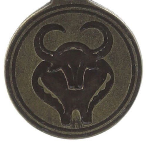 image pour Breloque Zodiac Laiton / Argent  