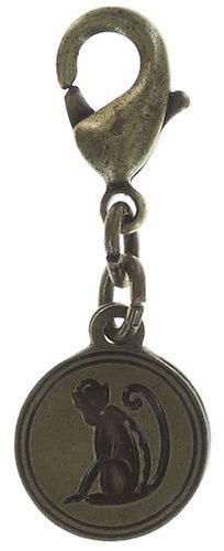 image for Charm Zodiac Brass / Silver  