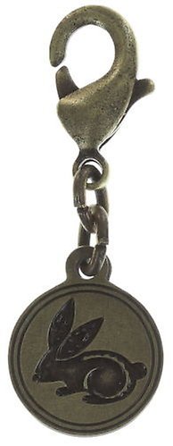 image for Charm Zodiac Brass / Silver  