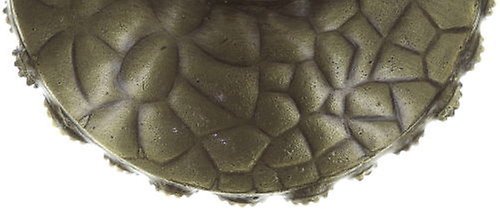 image for Ring Inside Out Orange  size L