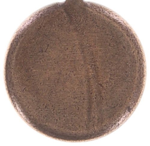 image pour Clou d'oreille pendant Chameleon Blanc  