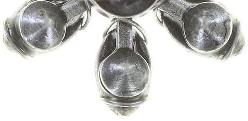 Bild für Ohrstecker Psychodahlia Multi  size XS