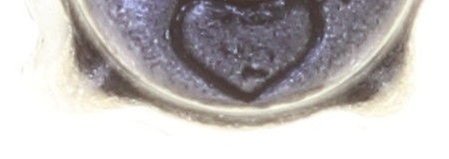 Bild für Ohrstecker flach Black Jack Gelb crystal metallic sunshine SS 20