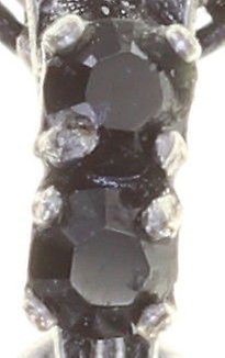 image for Necklace pendant Knights of the Dragon Black  size XS