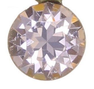 image pour Collier pendant Amazonia Beige  size S