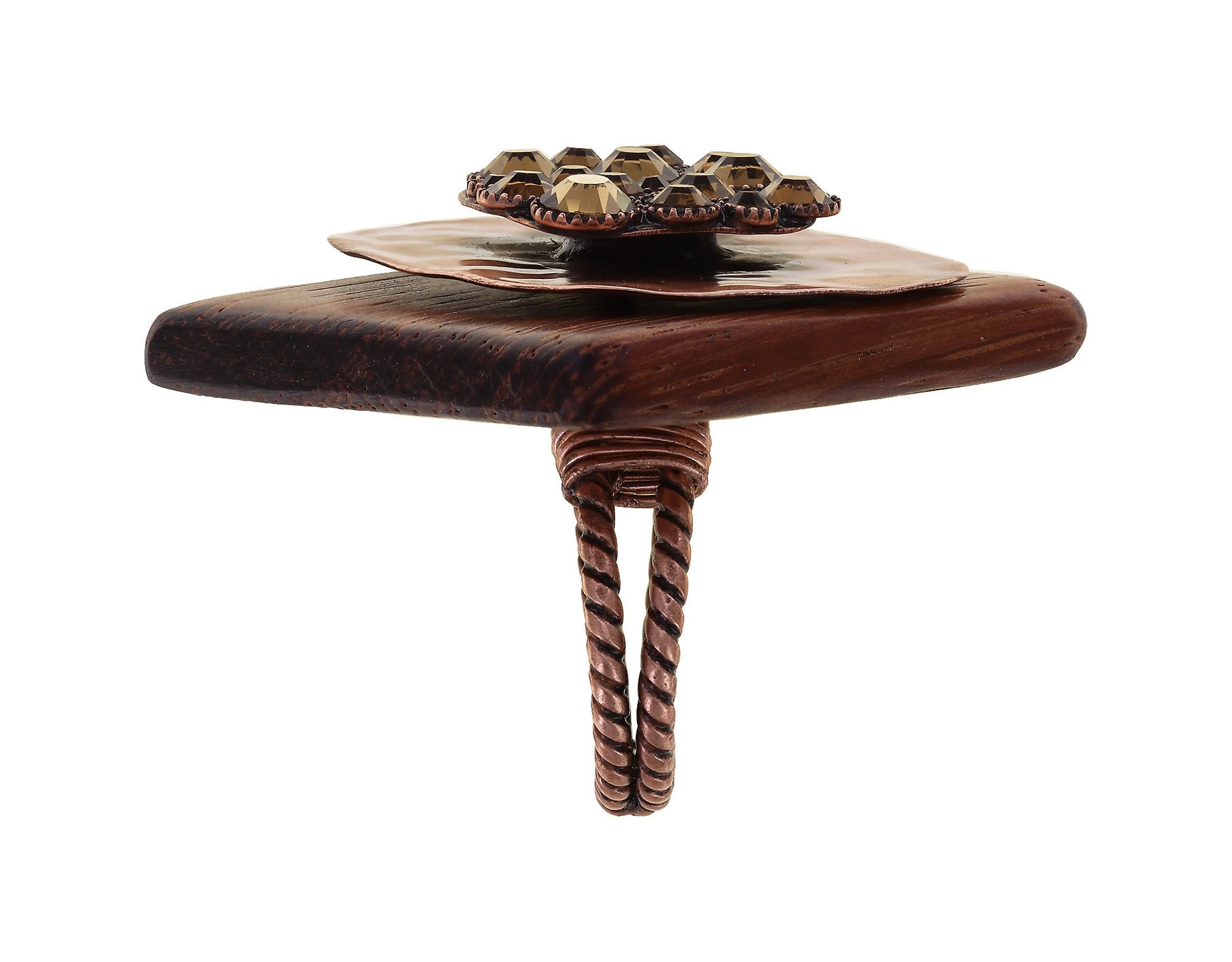 image for Ring Earth, Wind and Business Brown  