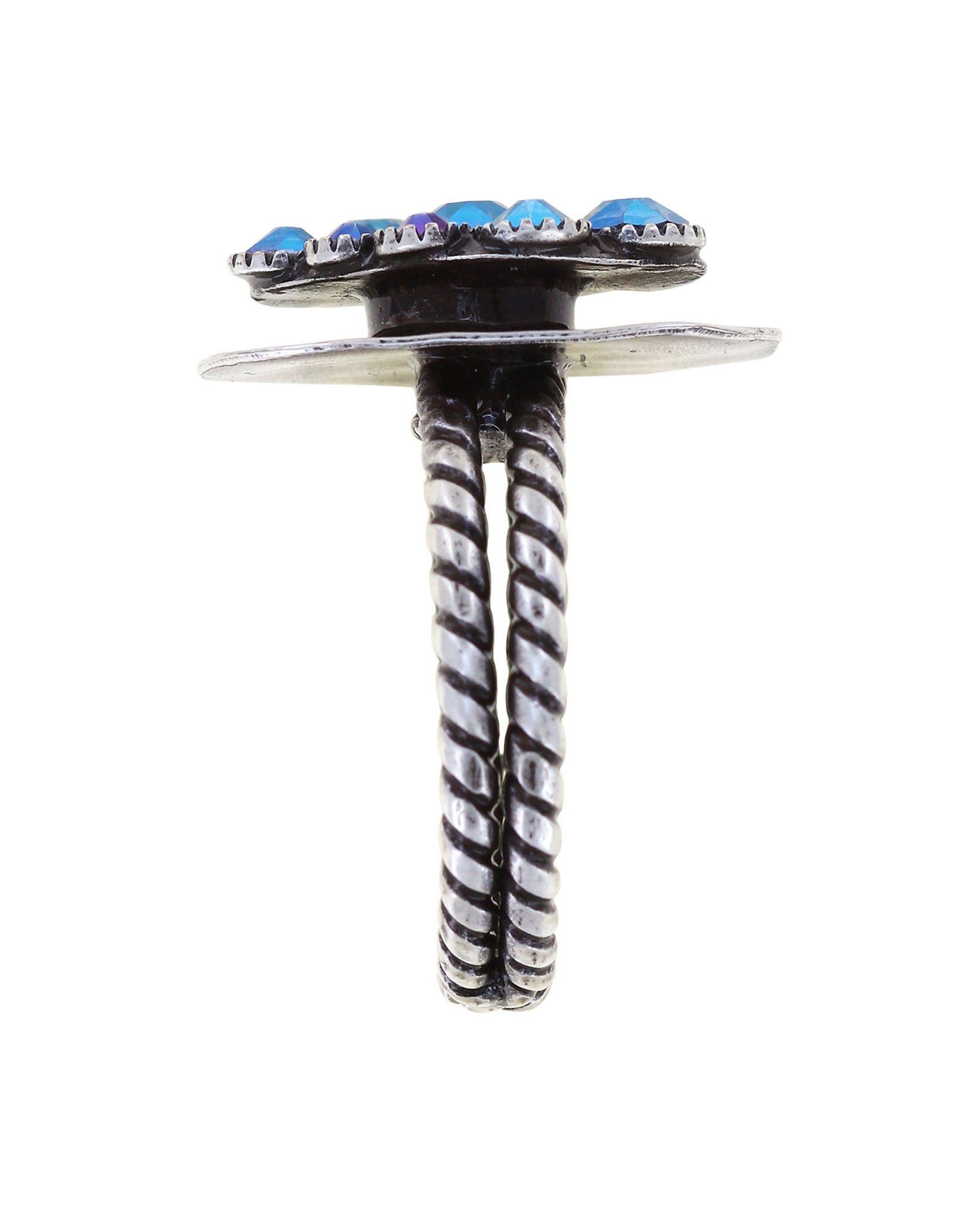 image for Ring Earth, Wind and Business Blue / Lila  