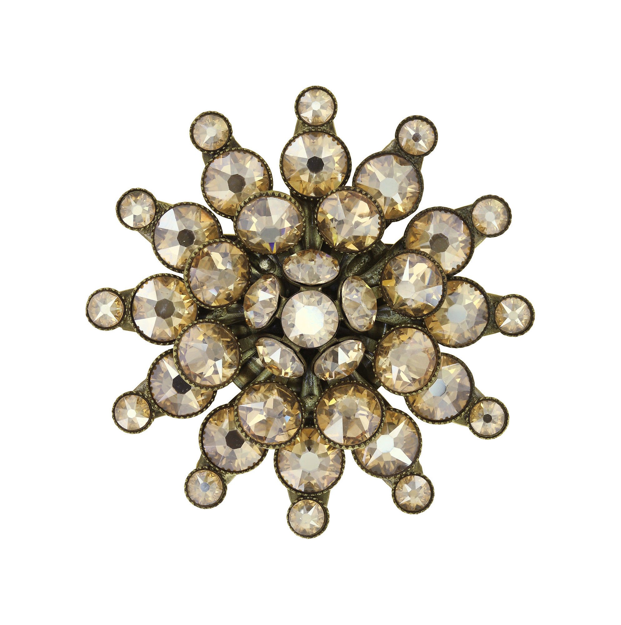 image for Brooch Lost Garden Beige  