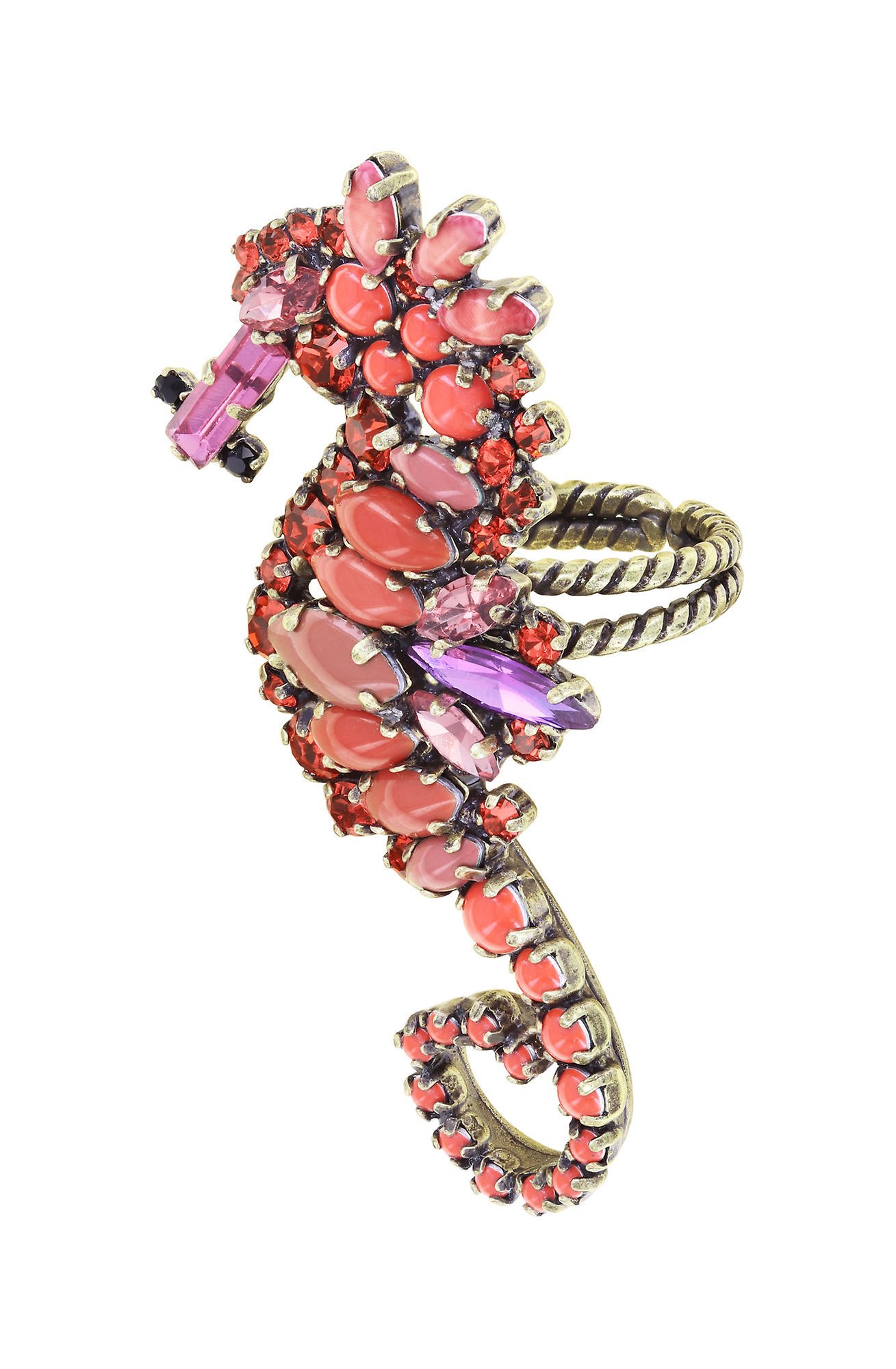 image for Ring Beach to Bar Coralline  