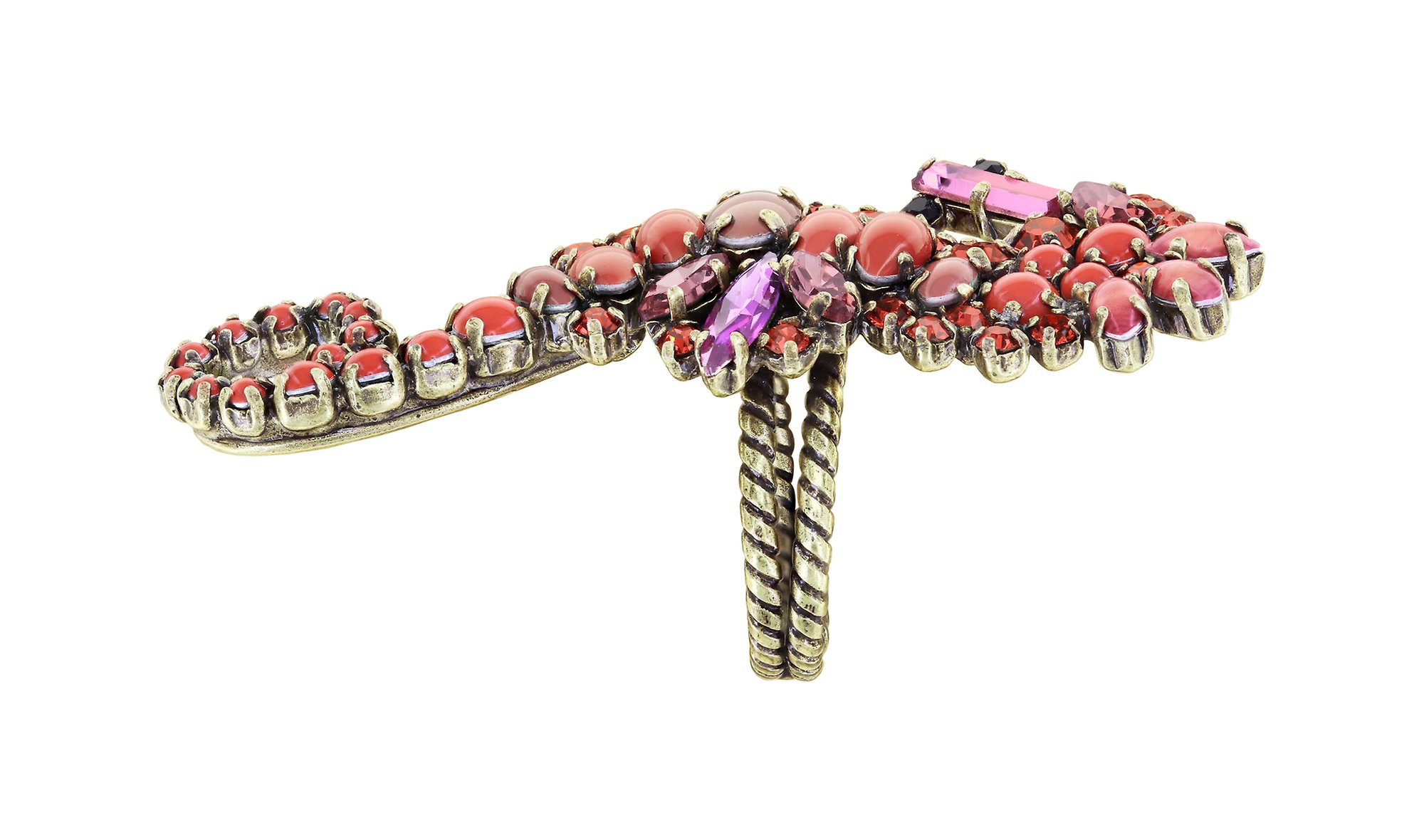 image for Ring Beach to Bar Coralline  