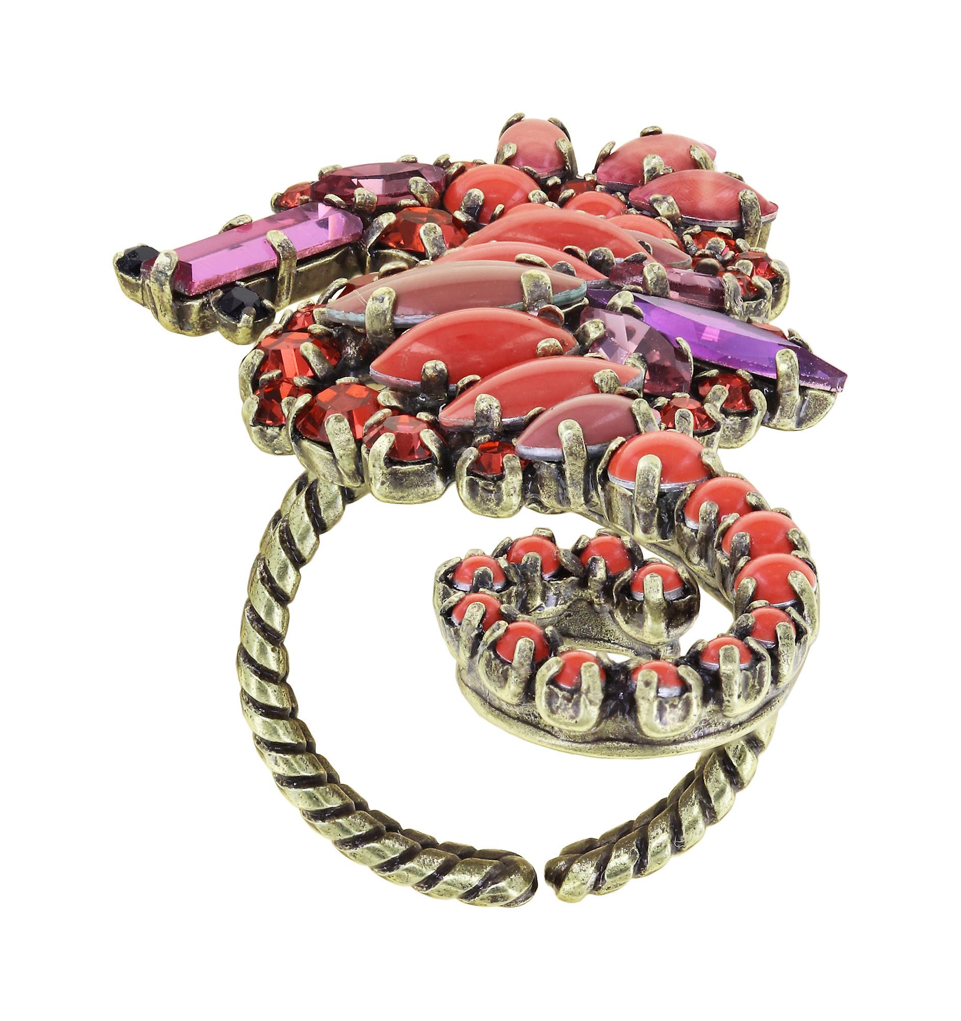 image for Ring Beach to Bar Coralline  