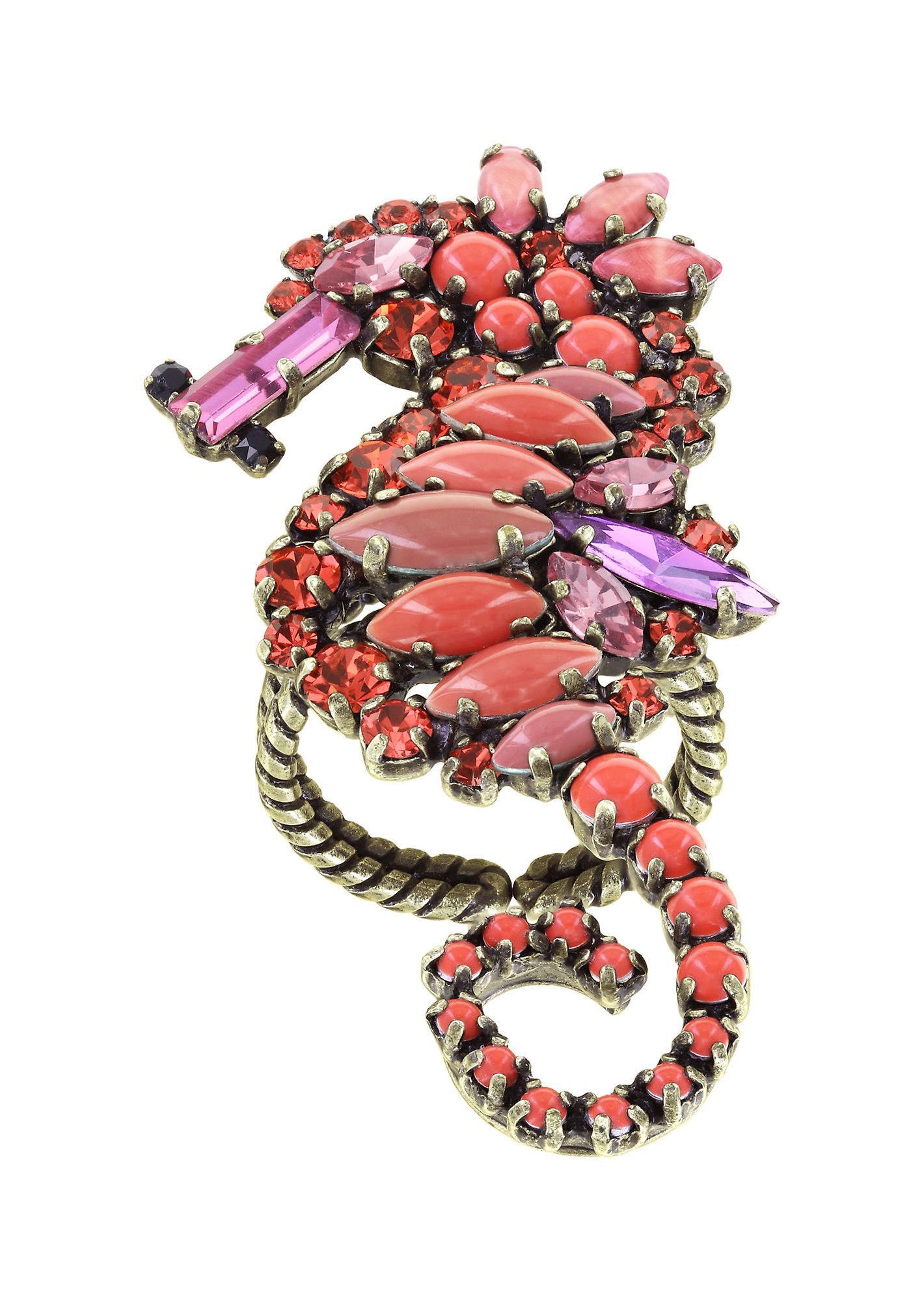 image for Ring Beach to Bar Coralline  