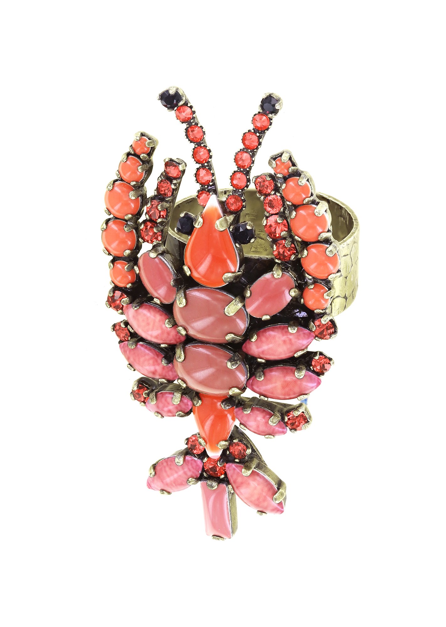 image for Ring Beach to Bar Coralline  