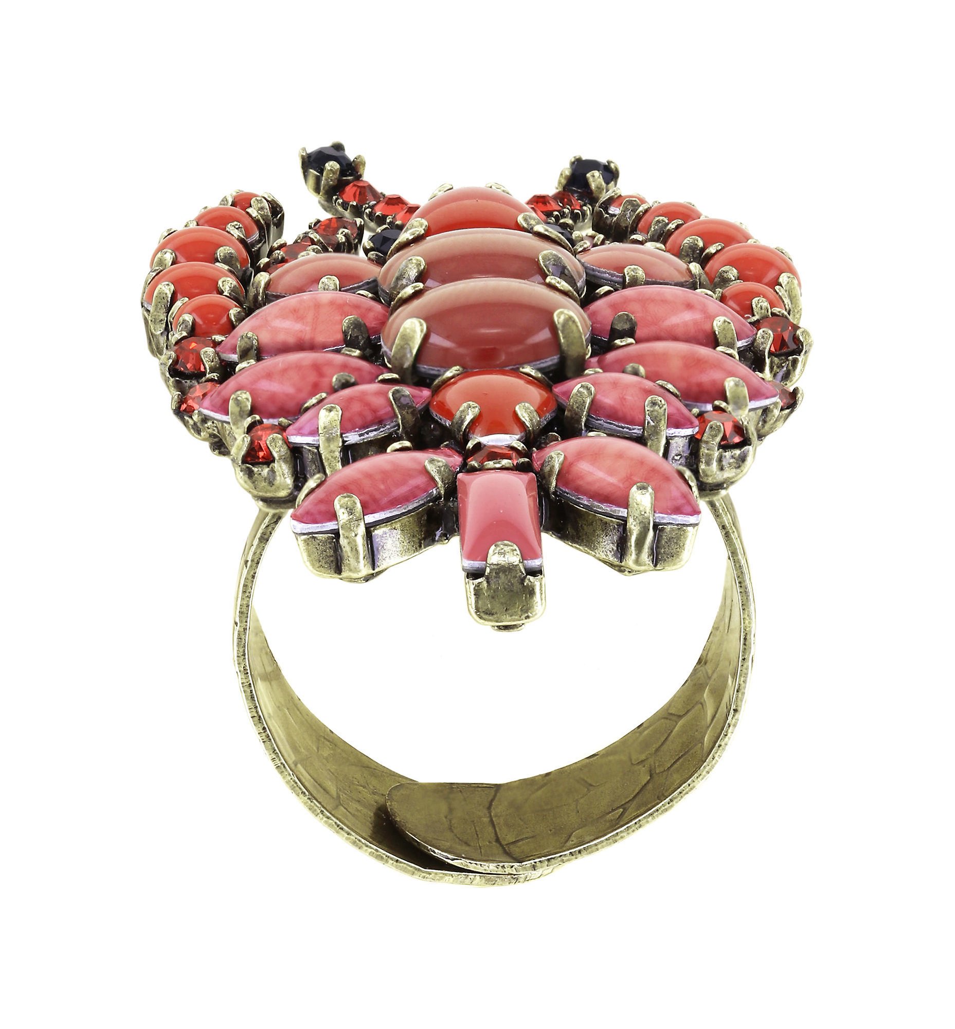 image for Ring Beach to Bar Coralline  