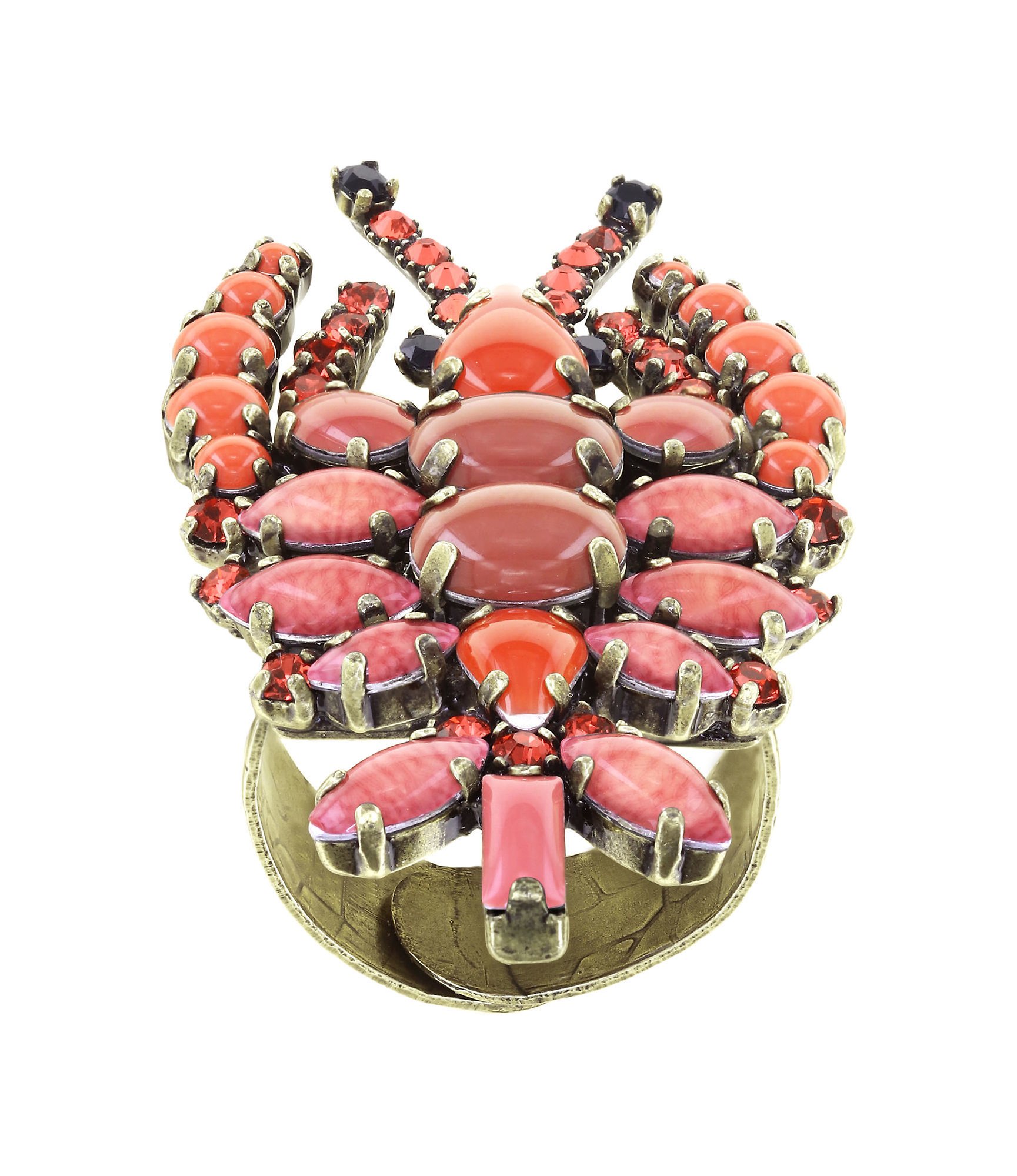 image pour Anneau Beach to Bar Coralline  