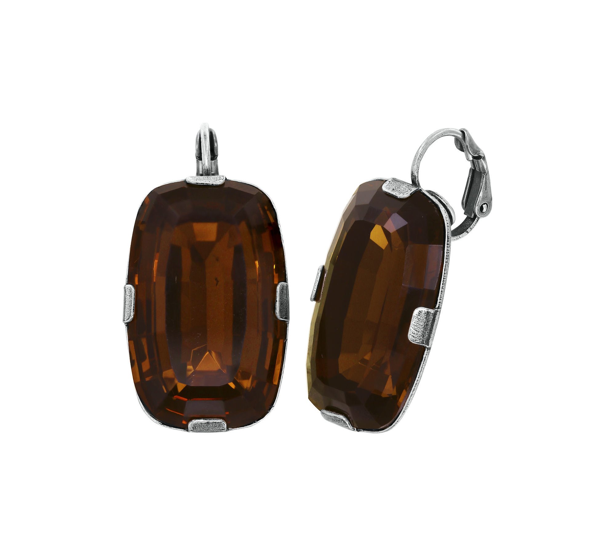 image pour Boucles d'oreilles Eurowire To The Max Marron  size L