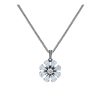 45211279006
